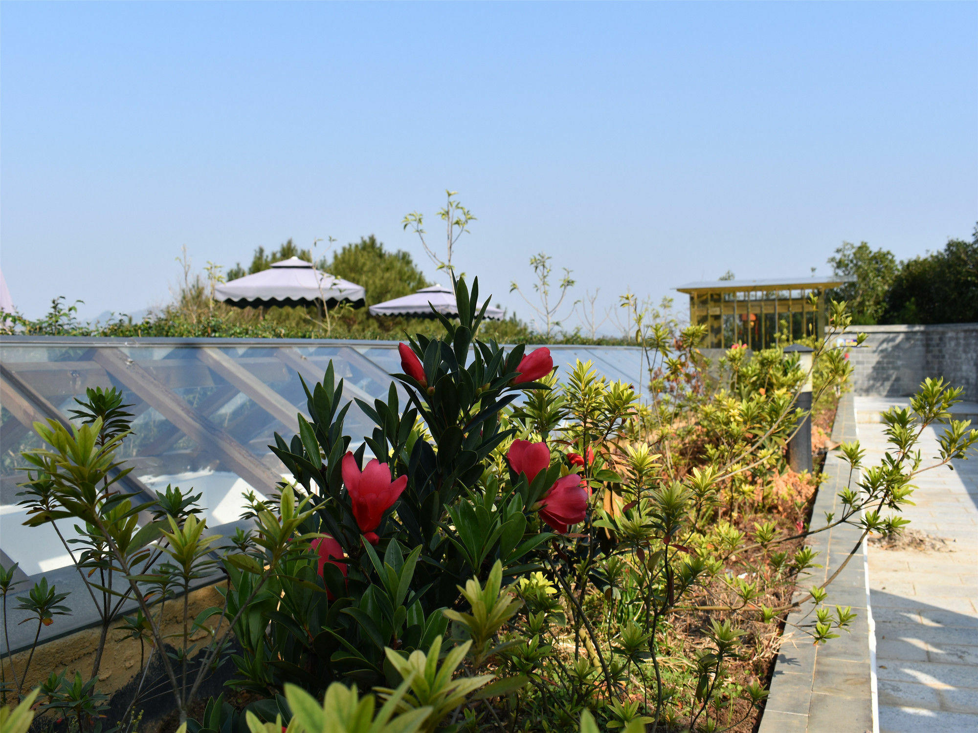 Yangshuo Mountain Top Retreat Bagian luar foto